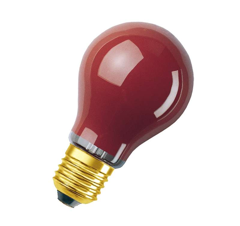 картинка Лампа накаливания DECOR A 11Вт E27 240В красн. LEDVANCE OSRAM 4008321545824 от магазина ПСФ Электро